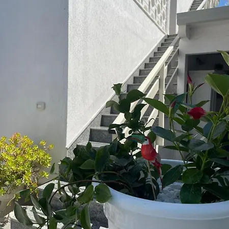 Bed & Breakfast Baia Del Salento