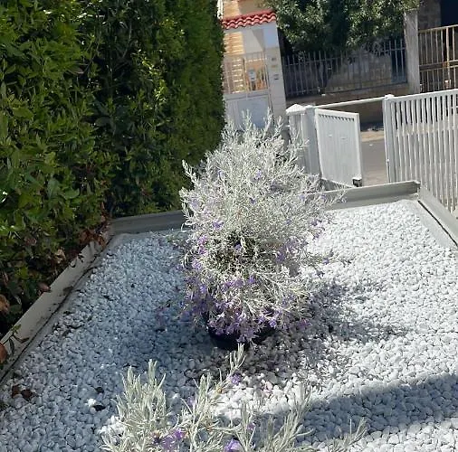 Baia Del Salento Bed & Breakfast 3*