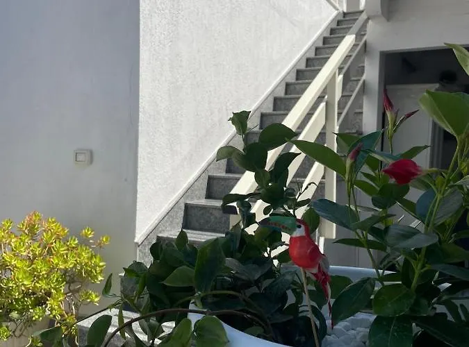 Bed & Breakfast Baia Del Salento